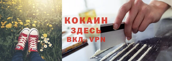 тгк Богданович