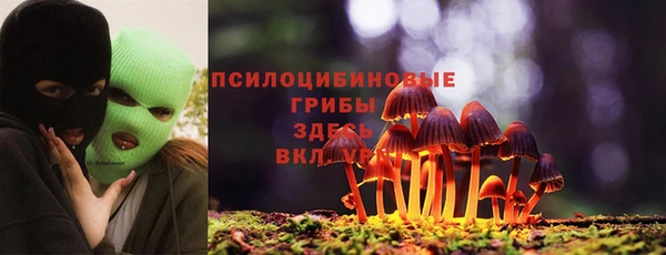 спайс Богородицк