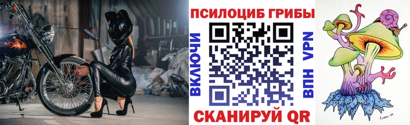 Псилоцибиновые грибы GOLDEN TEACHER  где купить наркотик  shop формула  Арамиль 